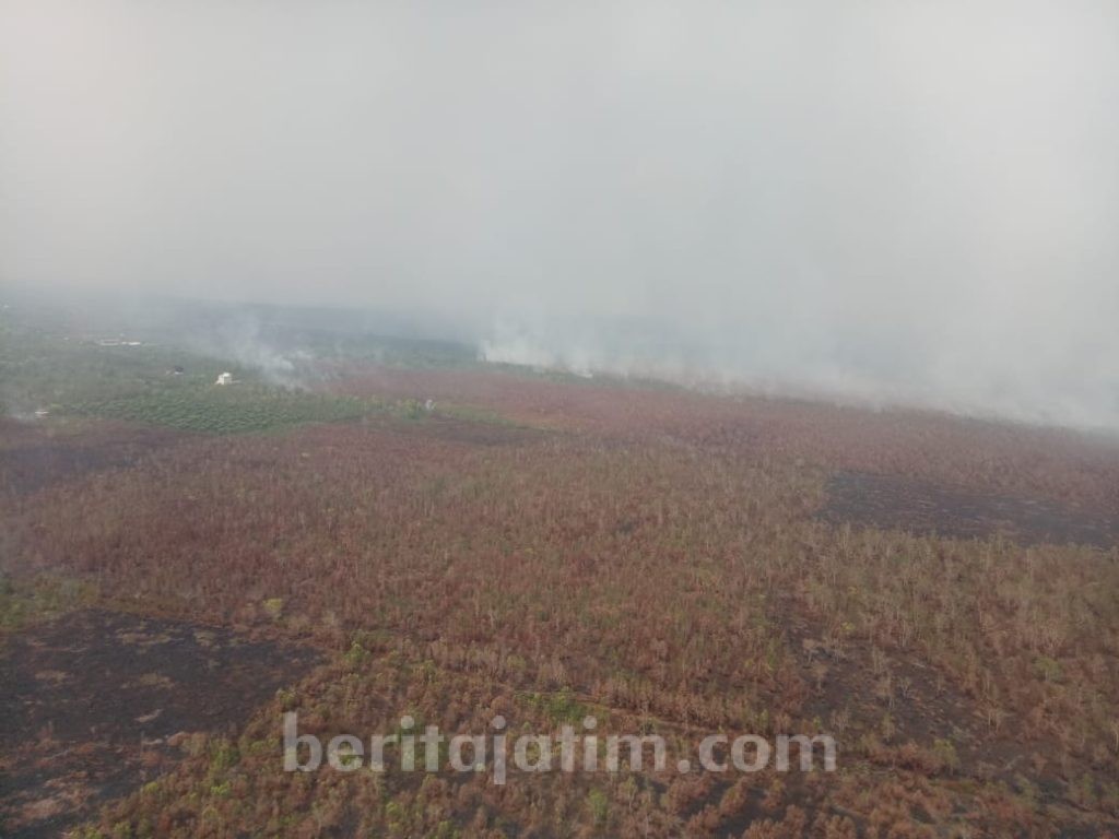 49 Titik Panas Terdeteksi di Wilayah Kalimantan Tengah