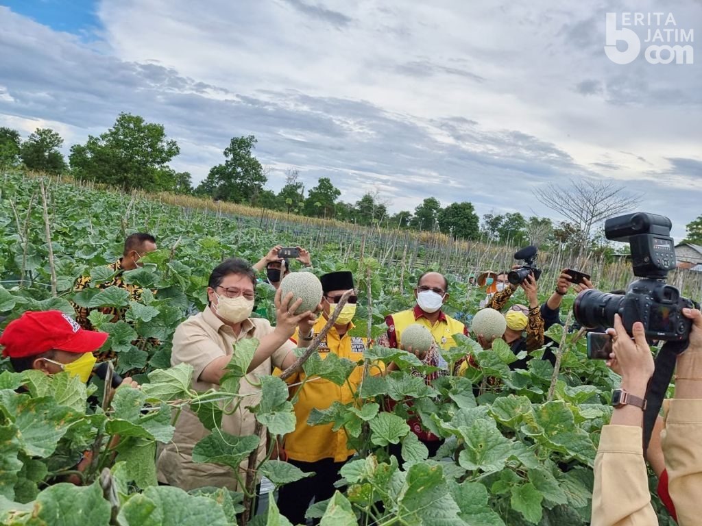 Menko Airlangga Apresiasi Terobosan Pemda Kalsel, Bantu Isoman Covid-19 dengan Hasil Panen Petani