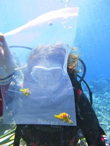 ClownfishExperiments_Credit_ThamerSHabis (3)