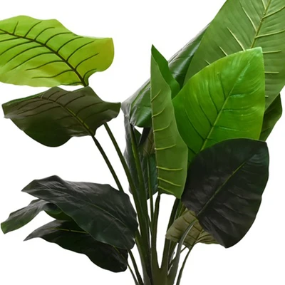Gambar Informa Tanaman Artifisial Strelitzia Dengan Pot 80x80x135 cm - Hijau
