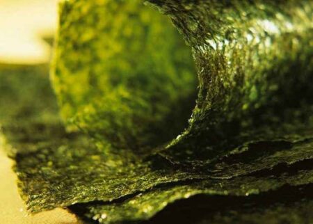 Banyak Disukai dalam Makanan Korea dan Jepang, Apa Istimewanya Rumput Laut? Foto BeritaJatim.com