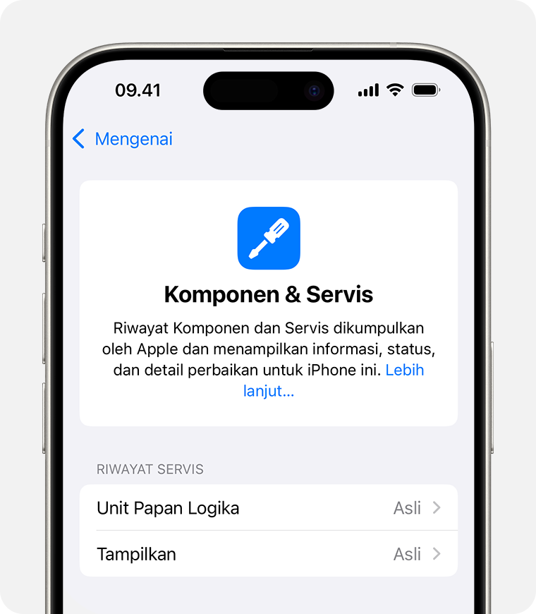 Layar Riwayat Komponen dan Servis dengan dua komponen Apple asli yang diganti