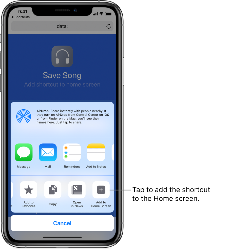 Add to Home Screen button displayed in Safari.