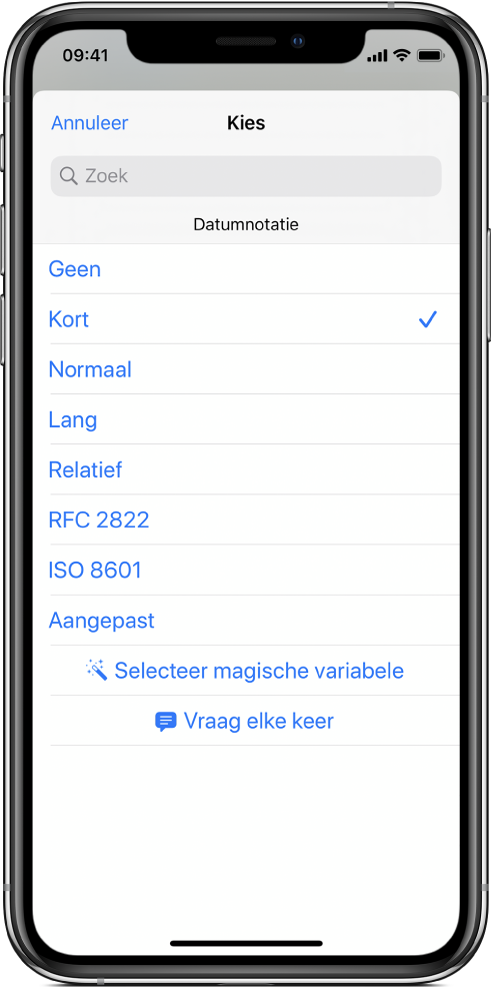 Dialoogvenster met opties voor de datumnotatie.