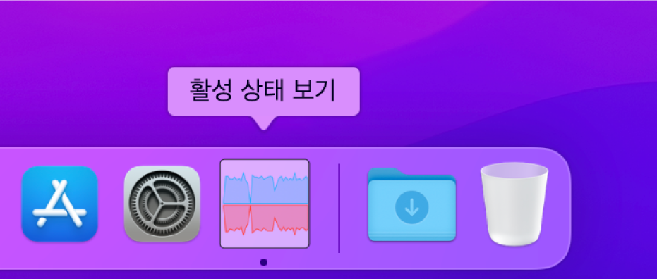 Dock에서 네트워크 활성 상태를 보여주는 활성 상태 보기 아이콘입니다.