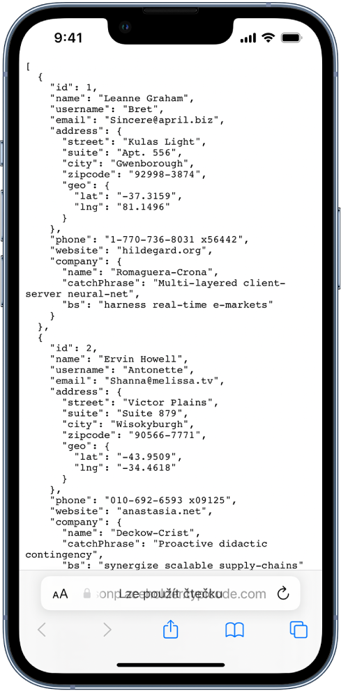 Ukázka JSON dat