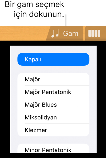 Gitar Gam düğmesi