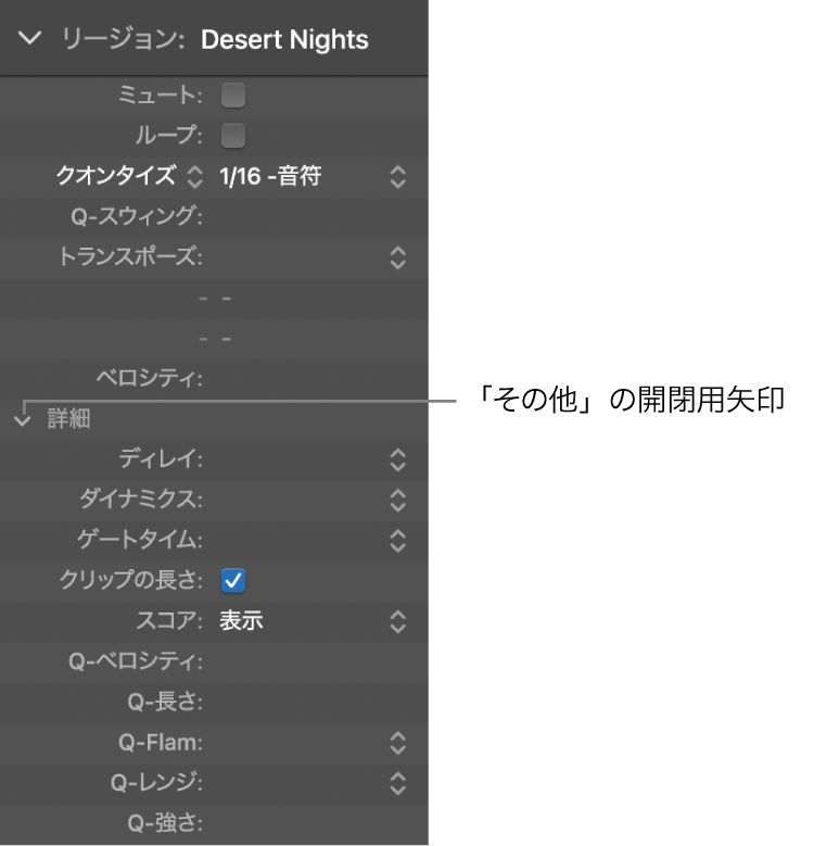 図。詳細パラメータが表示されているリージョンインスペクタ。