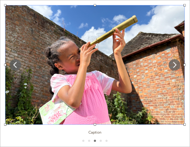 An image gallery object containing five images, with a caption below it and navigation arrows on the left and right sides.