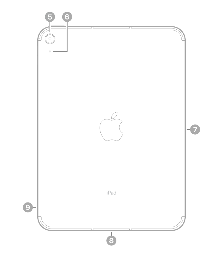 Vue de dos de l’iPad avec des légendes pour l’appareil photo arrière et le micro en haut à gauche, le Smart Connector sur le côté droit, le connecteur USB- C en bas au centre, et le support pour carte SIM (modèles Wi-Fi + Cellular) en bas à gauche.