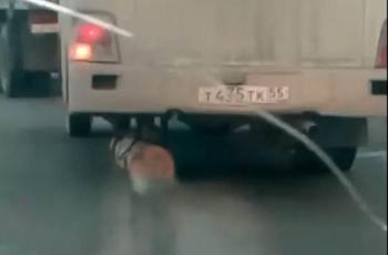 Ikuti Kata Pepatah, Sebuah Bus Gunakan Batang Pohon Sebagai Roda Darurat