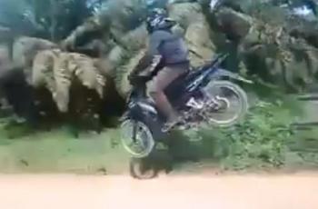 Nyaris Berakhir Tragis, Cara Berkendara Pemotor Ini Layak Ikut Motocross