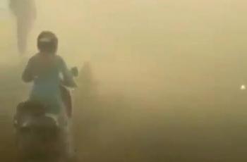 Kebakaran Hutan di Sampit Sebabkan Asap Pekat, Pemotor Tabrak Pohon
