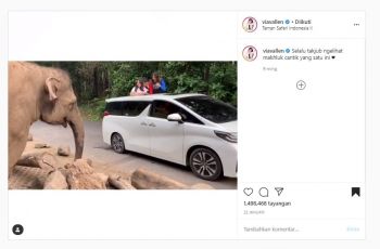 Ketika Sehat, Via Vallen Pernah Kasih Makan Gajah Pakai Toyota Alphard