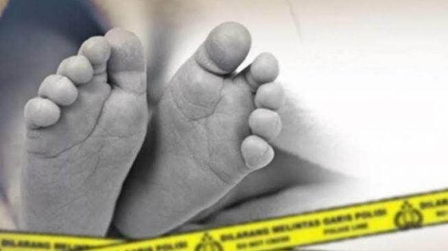 6 Fakta Terungkapnya Kasus Bocah 9 Tahun Tewas Diserang Anjing Pemburu Babi