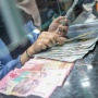 Rupiah Melemah dan Daya Beli Turun, Indonesia Berpotensi Mengarah ke Krisis Ekonomi